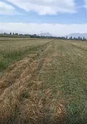 -1