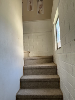 118649-8