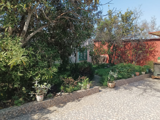 p202540085wf-8
