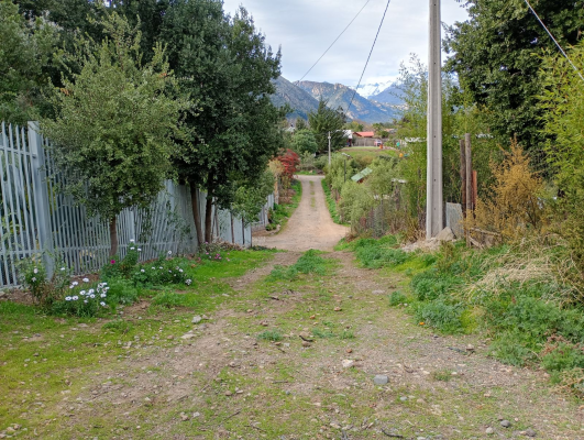 p202661221z7-6