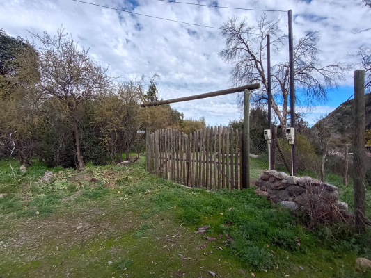 p202661221z7-7