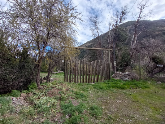 p202661221z7-8