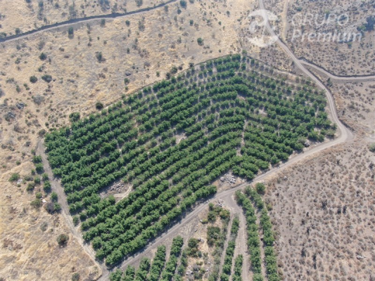 114074519-4