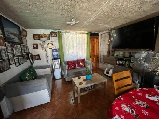 p20266144tv7-3