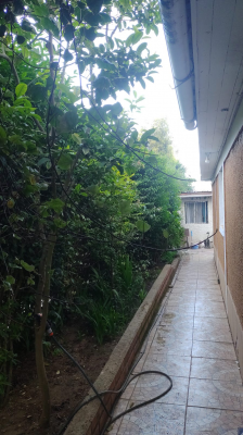p20266174fmv-3
