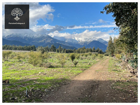 vendo-terreno-en-codegua-10-min-ruta-5-sur-(144-6