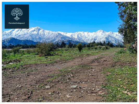 vendo-terreno-en-codegua-10-min-ruta-5-sur-(144-8