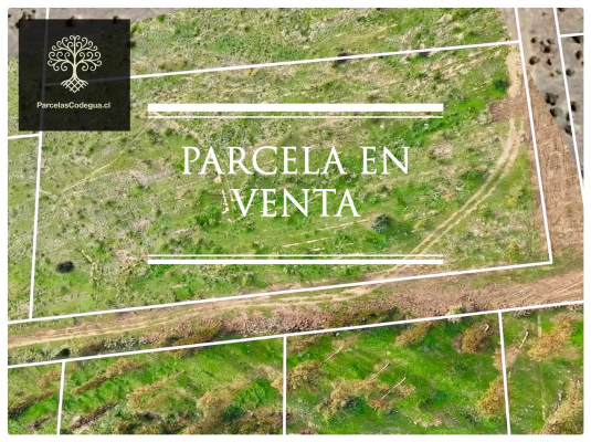 vendo-terreno-en-codegua-10-min-ruta-5-sur-(144-9