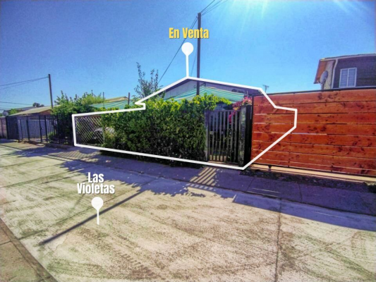 p20266197cl5-3