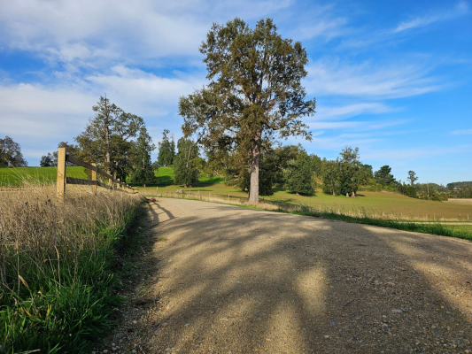 p20266200ybl-8