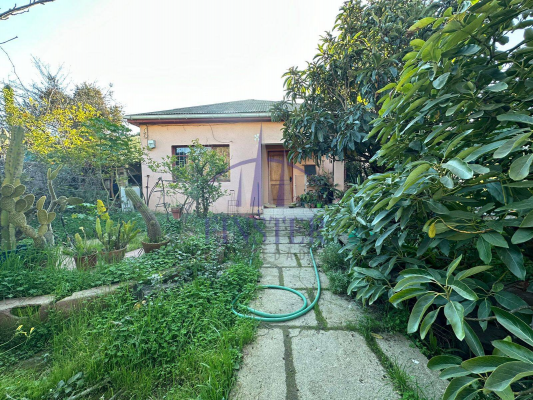 p20266209xn2-6