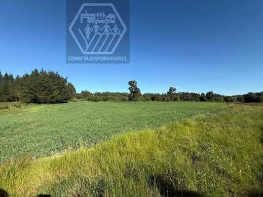 terreno-en-venta-sector-niagara-temuco-(145093)-3