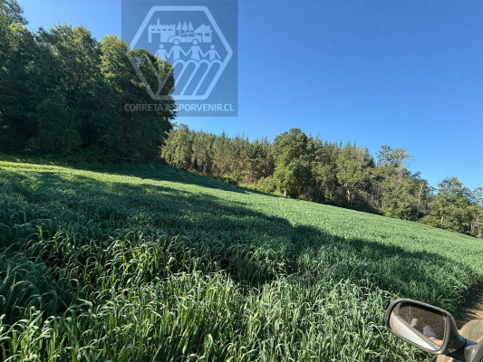 terreno-en-venta-sector-niagara-temuco-(145093)-4