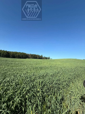 terreno-en-venta-sector-niagara-temuco-(145093)-5