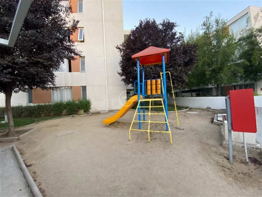 -19
