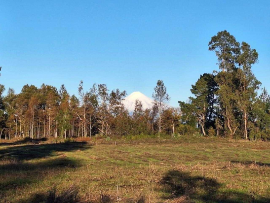 parcelas-villarrica---refugio-las-loicas-(145776)-4