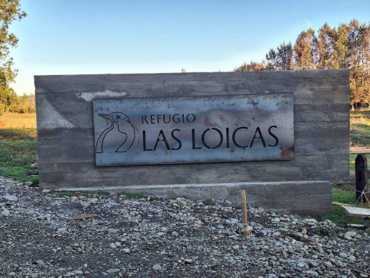 parcelas-villarrica---refugio-las-loicas-(145776)-5