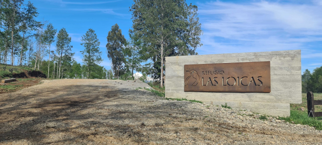 parcelas-villarrica---refugio-las-loicas-(145776)-6