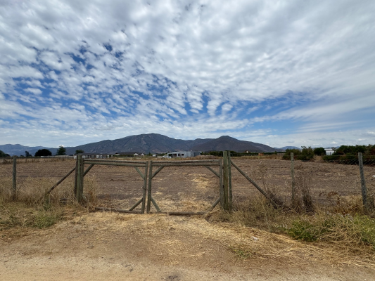 p202662815sj-8