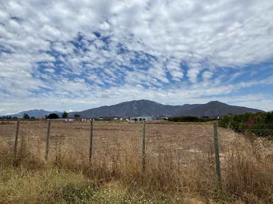 p202662815sj-9