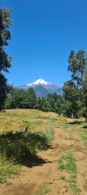 parcela-pucon-rol-luz-agua-entrega-inmediata-(1-8
