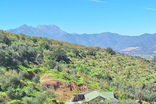 terrenos-con-espectaculares-vistas-en-rauten-(1-3