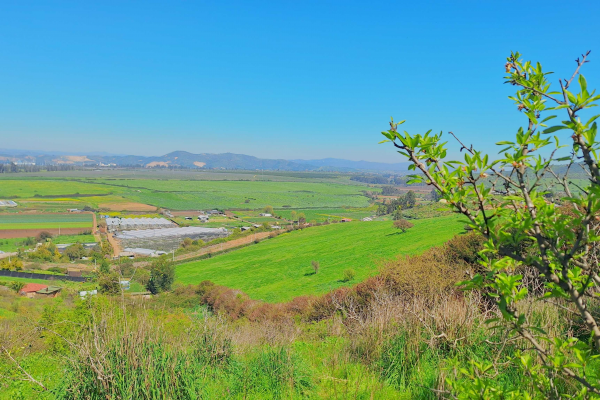 terrenos-con-espectaculares-vistas-en-rauten-(1-4