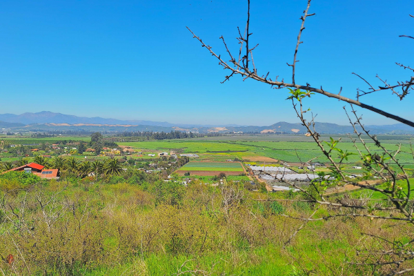 terrenos-con-espectaculares-vistas-en-rauten-(1-8