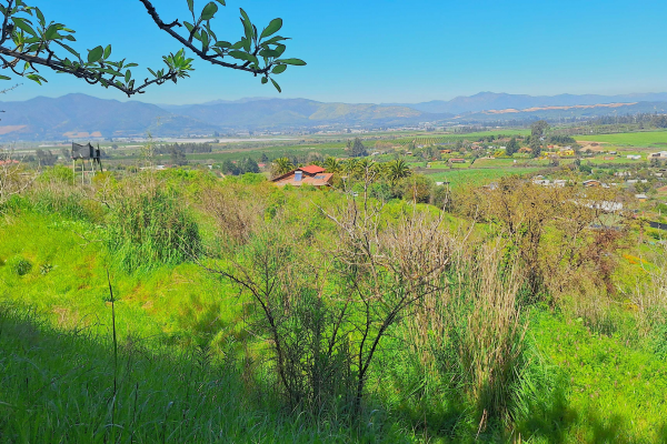 terrenos-con-espectaculares-vistas-en-rauten-(1-9
