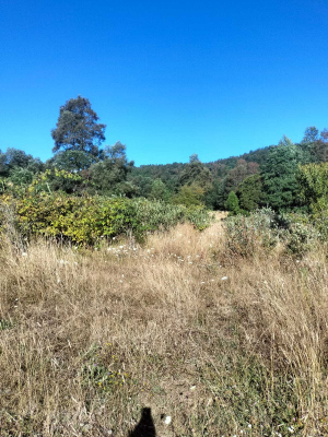 ideal-para-proyecto-de-inversion-rural-(146325)-6