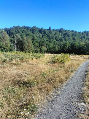 ideal-para-proyecto-de-inversion-rural-(146325)-7