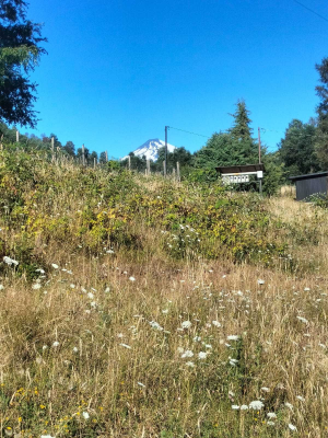 -12