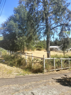oportunidad-de-inversion-villarrica-(146376)-7