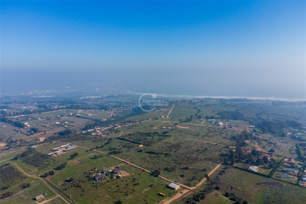 114109456-5