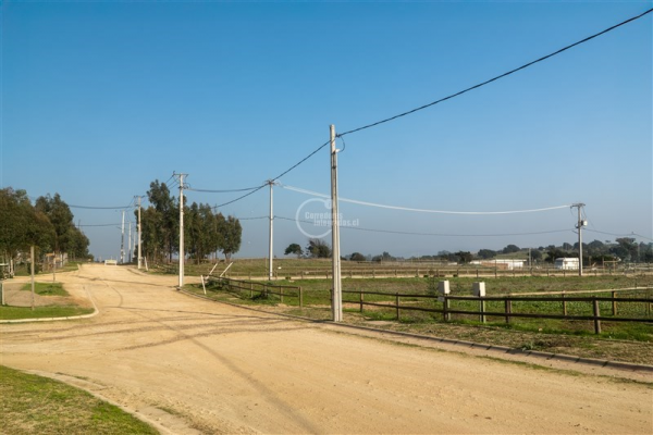 114109456-8