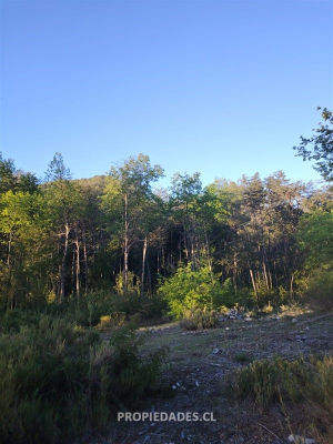 110050832-8