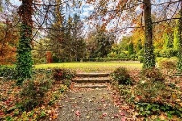 104108035-3