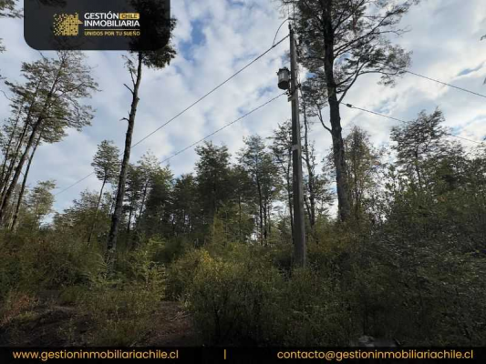 exclusiva-parcela-rodeada-de-naturaleza-(146921)-5
