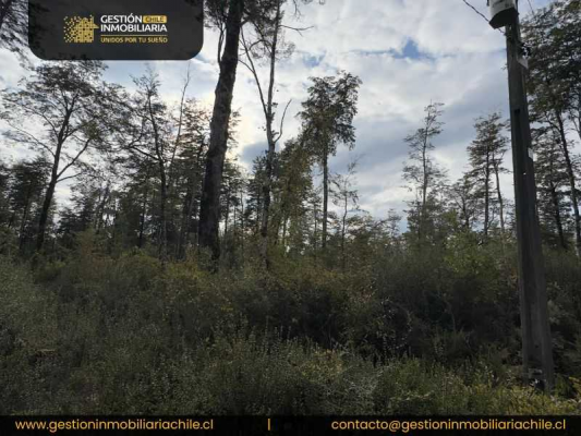 exclusiva-parcela-rodeada-de-naturaleza-(146921)-7