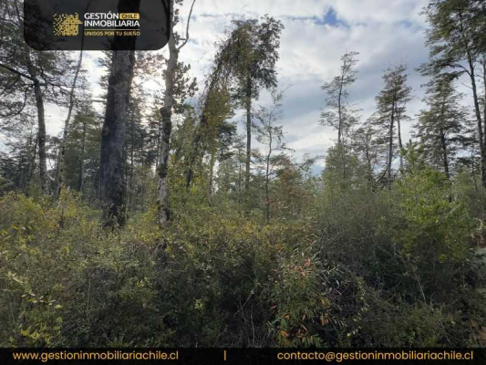 exclusiva-parcela-rodeada-de-naturaleza-(146921)-8
