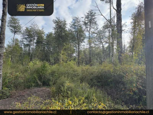 exclusiva-parcela-rodeada-de-naturaleza-(146921)-9