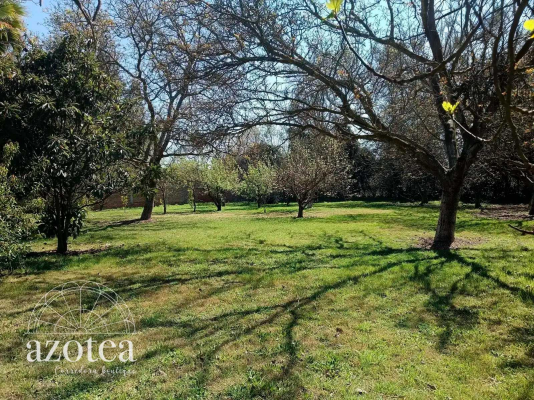 parcela-urbanizada-a-40-minutos-de-santiago-(1-4