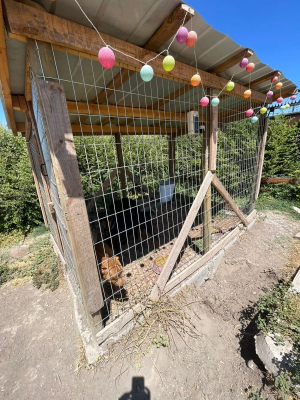 -15