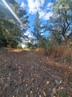 114074869-4