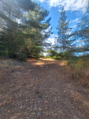114074869-8