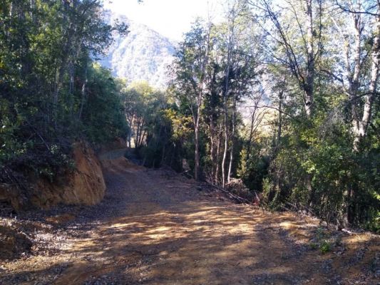 -10
