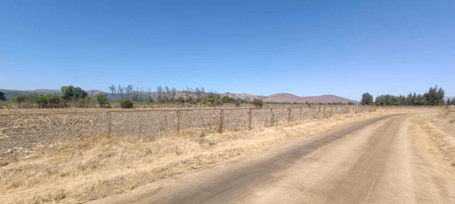 country-club-maria-pinto-(74968)-5
