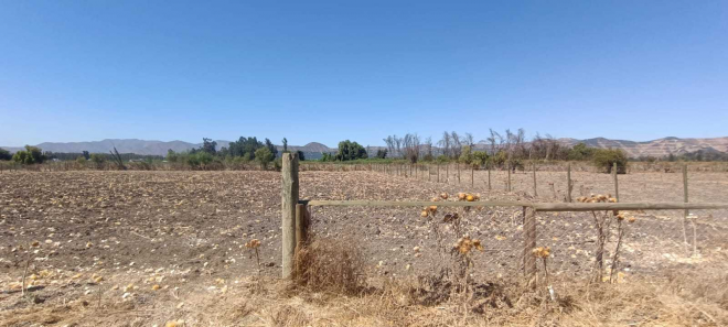 country-club-maria-pinto-(74968)-8