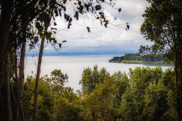 oportunidad-de-inversion-en-frutillar-bajo-(14-9