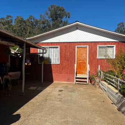 p20266442mas-5